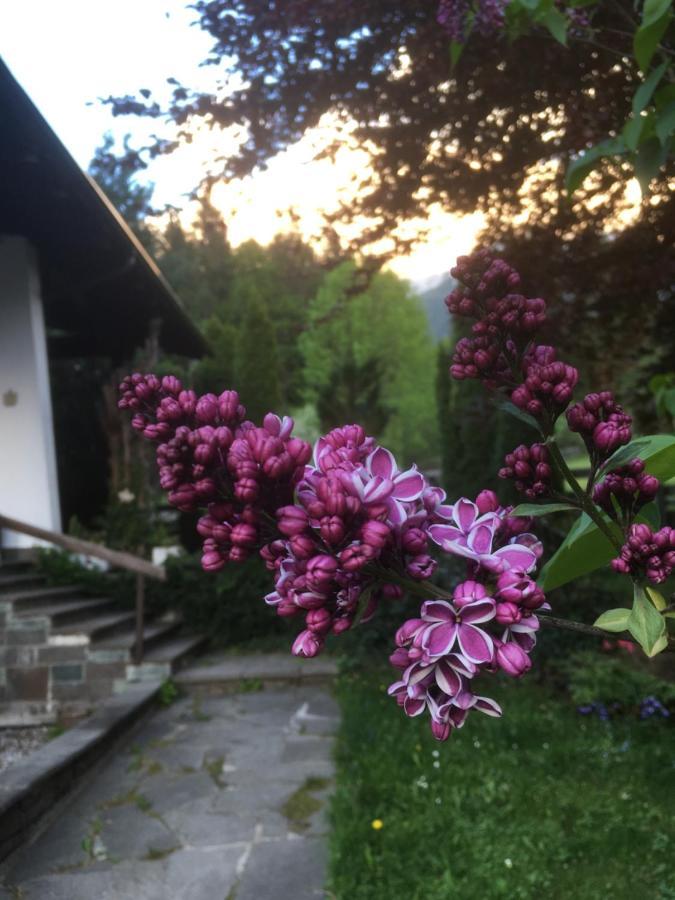 Ferienhaus Wieswald Ehrwald Exterior photo